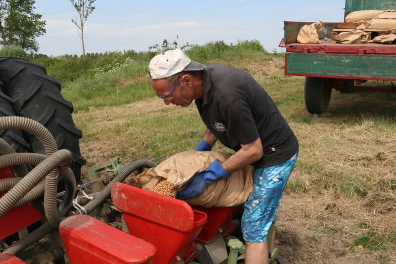 Op het erf laadt Mike Maas de zakken met zaaizaad van de wagen over in de bak van de verreiker. Deze staat op dezelfde spoorbreedte als de veldspuit, zodat Maas de zaaimachine via de spuitpaden kan bevoorraden.