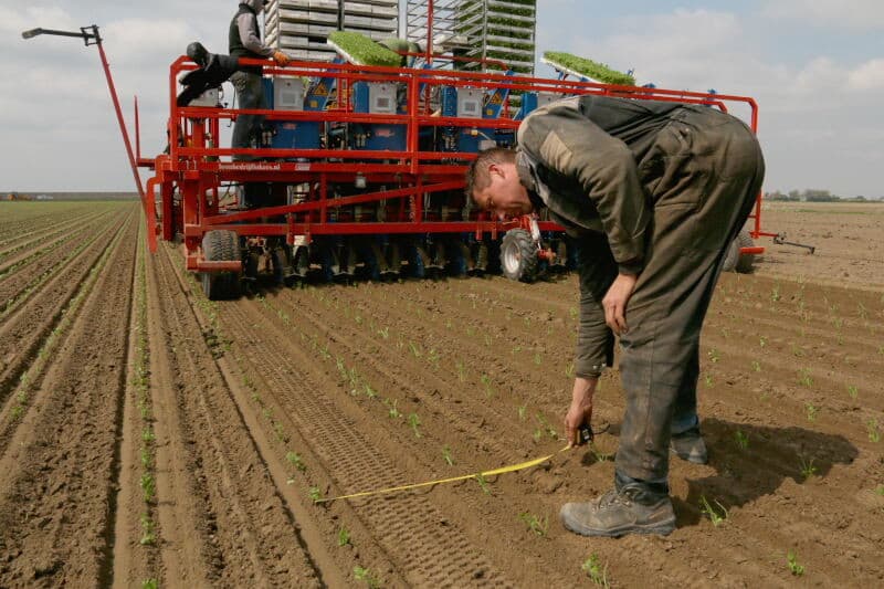 Breure laat voor deze derde planting 65.000 plantjes per hectare zetten. De computer berekent aan de hand van het gewenste aantal per hectare de afstand in de rij. Ongeacht de eventuele uitval wordt toch het ingestelde aantal geplant. Ook houdt de computer rekening met de overlap bij geren.