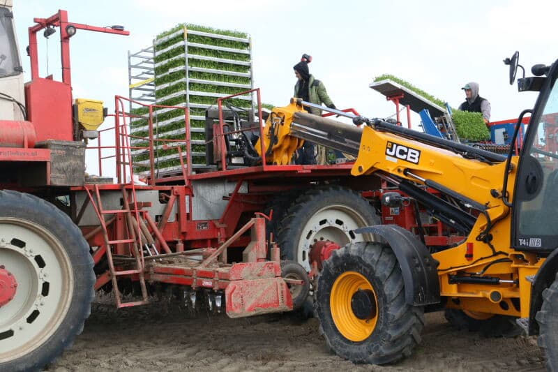 Na zo n 10 millimeter regen is het op deze vrij lichte zavelgrond vochtig genoeg om de jonge plantjes aan te laten slaan. De twee eerdere plantingen heeft Breure direct na het planten beregend. Breure teelt op ongeveer 50 hectare knolselderij voor jaarrond levering aan Albert Heijn.