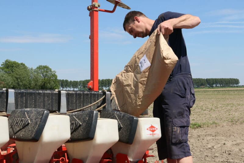 Achter elke rij van de zaaimachine zit een schijvenset die op het zaaispoor een ruggetje grond legt. De boon heeft hier geen moeite mee, maar het ruggetje vergemakkelijkt volgens Buijsse het uitschoffelen van de rijen voor de oogst.