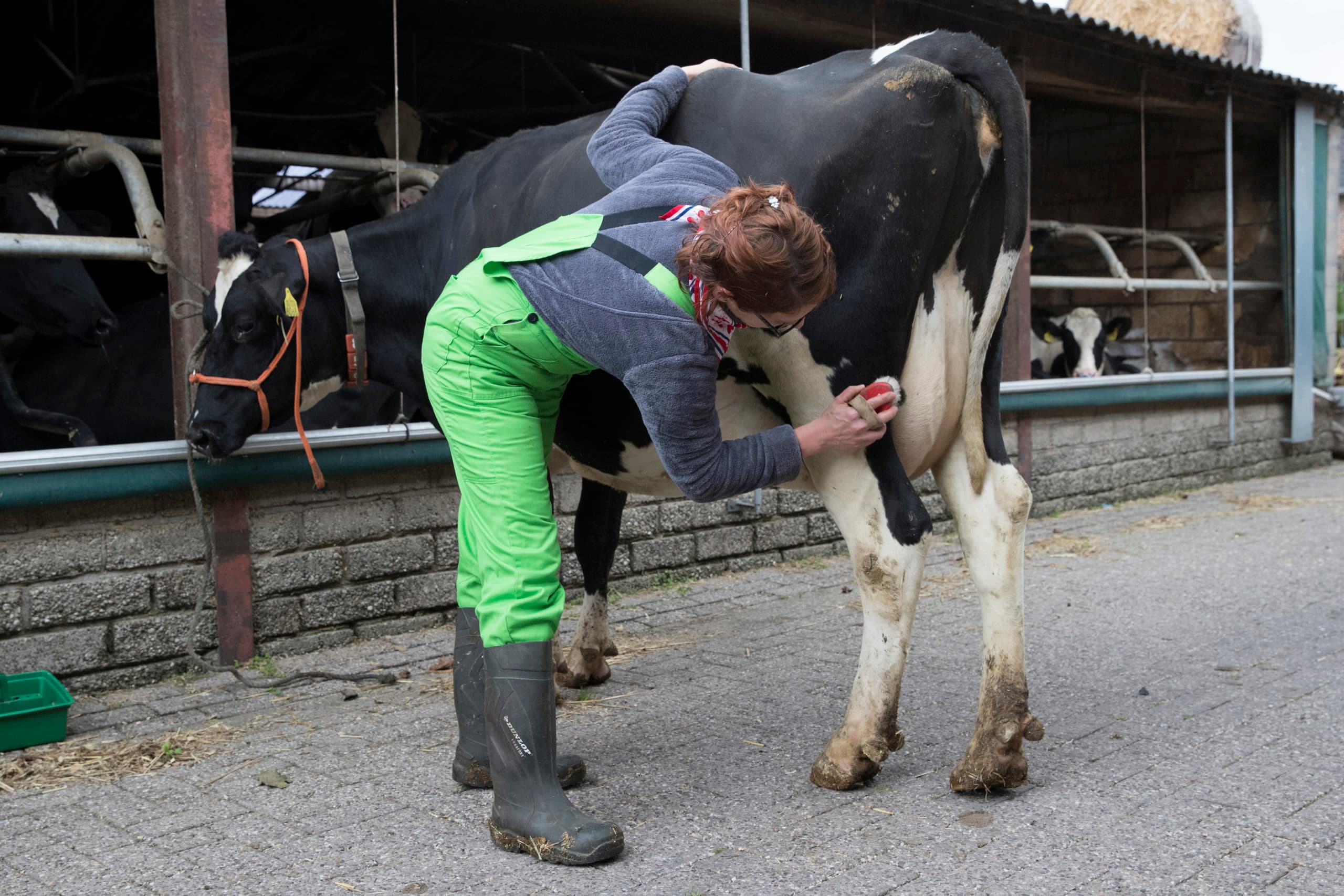 Foto: Marcel van Hoorn