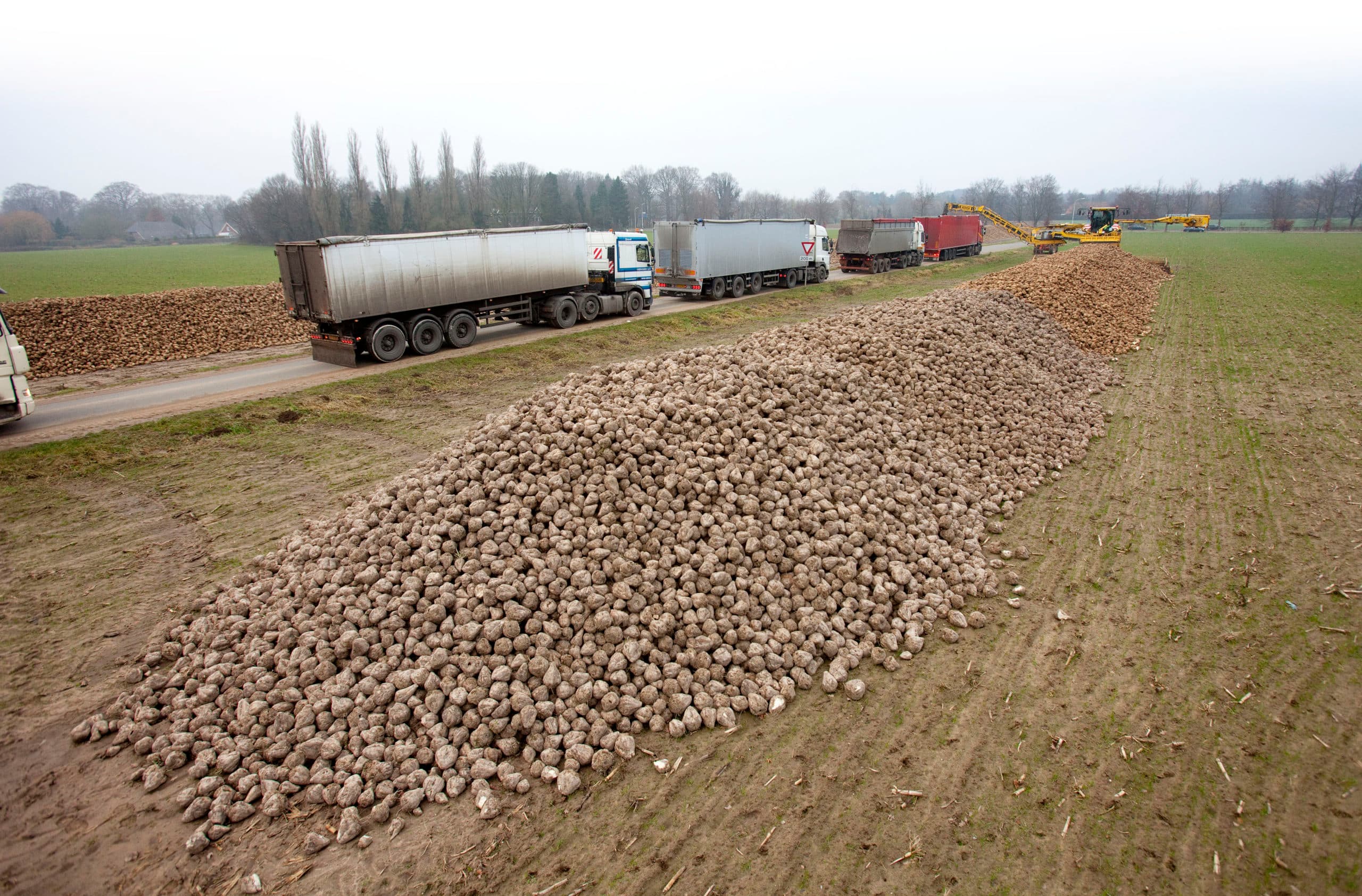 Foto: Jan Willem Schouten