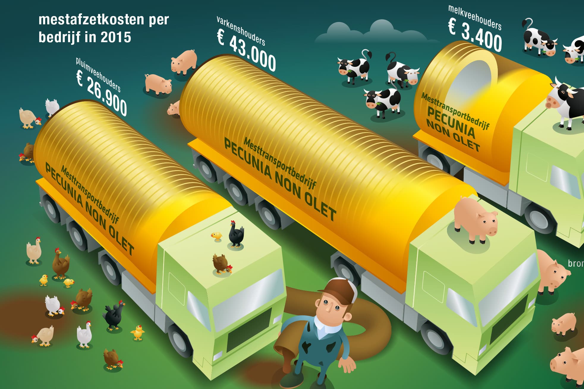 Infographic: Kaayman