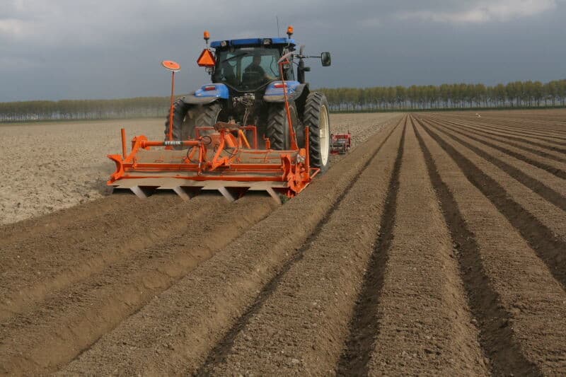 Tegenwoordig wordt de meeste peen breedwerpig in een strook op de rug gezaaid. Op dit perceel gebruikt Dekker een machine die drie rijtjes op een bed zaait. Het zaaikouter heeft drie zaadopeningen met daarachter drie wieltjes die het zaad aandrukken.