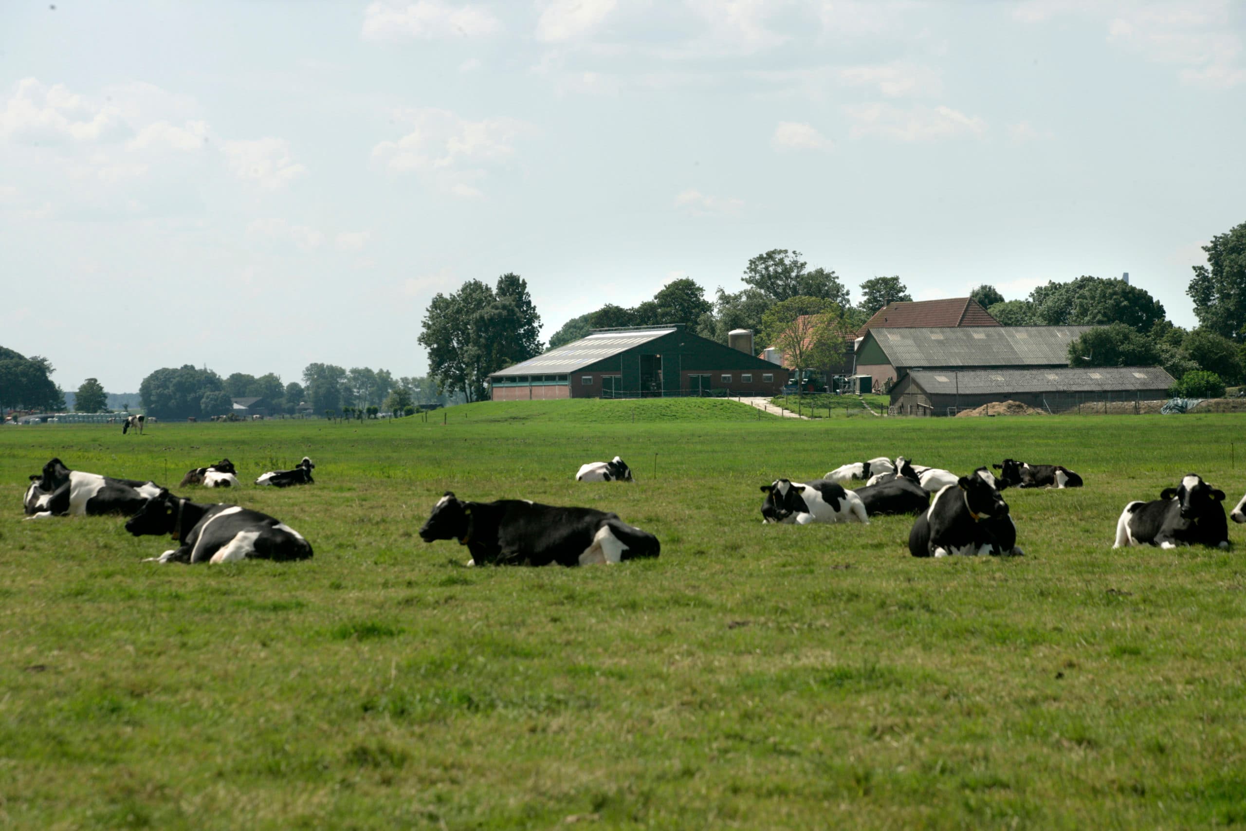 Foto: Koos Groenewold