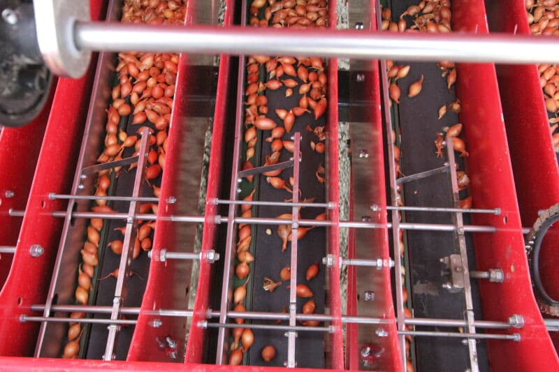 Vanuit de plantbak komen de uitjes gedoseerd op een trilblok (grijs), naast de plantschijven, dat ervoor zorgt dat de uitjes in beweging blijven zodat ze makkelijk wroden aangezogen op de plantschijf. Per rij zijn er twee plantschijven.