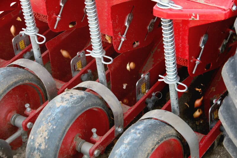 Controle of correct wordt geplant. Het streven is 23 uitjes per meter en die liggen er. Ook is goed te zien dat per rij met 2 plantschijven wordt geplant.