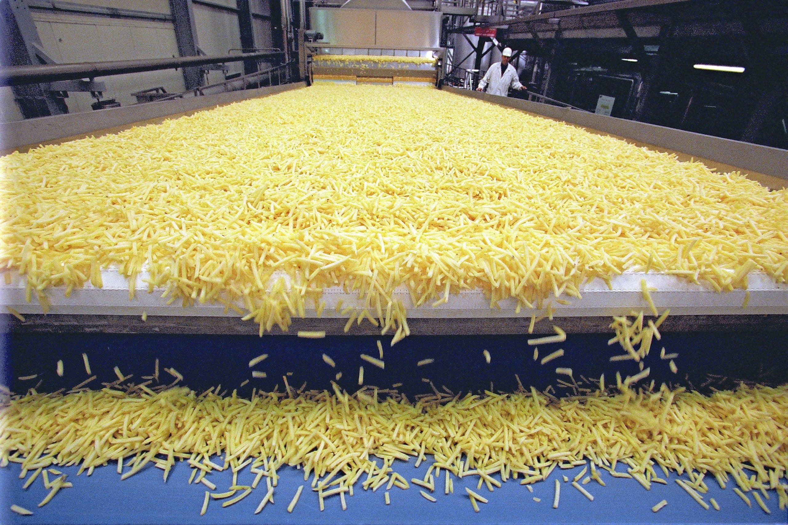 De friteslijn van McCain in Lelystad. McCain heeft de productiecapaciteit in België uitgebreid en is van plan de productie daar nog verder op te voeren. - Foto: ANP