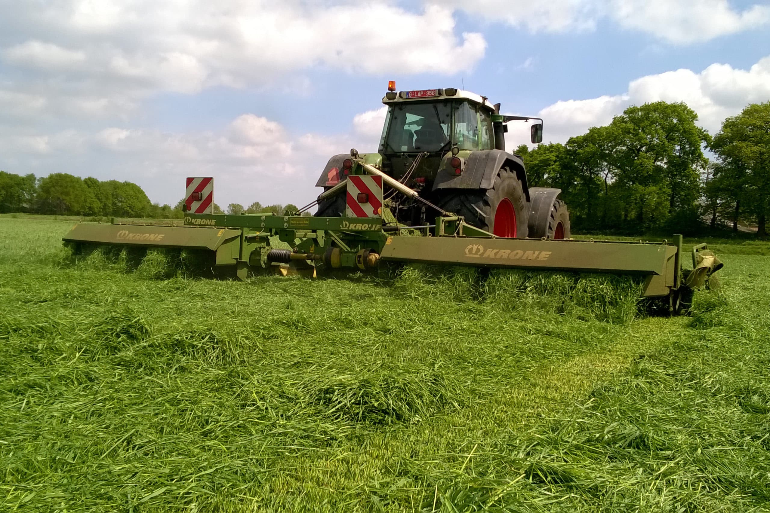 Foto: Barenbrug