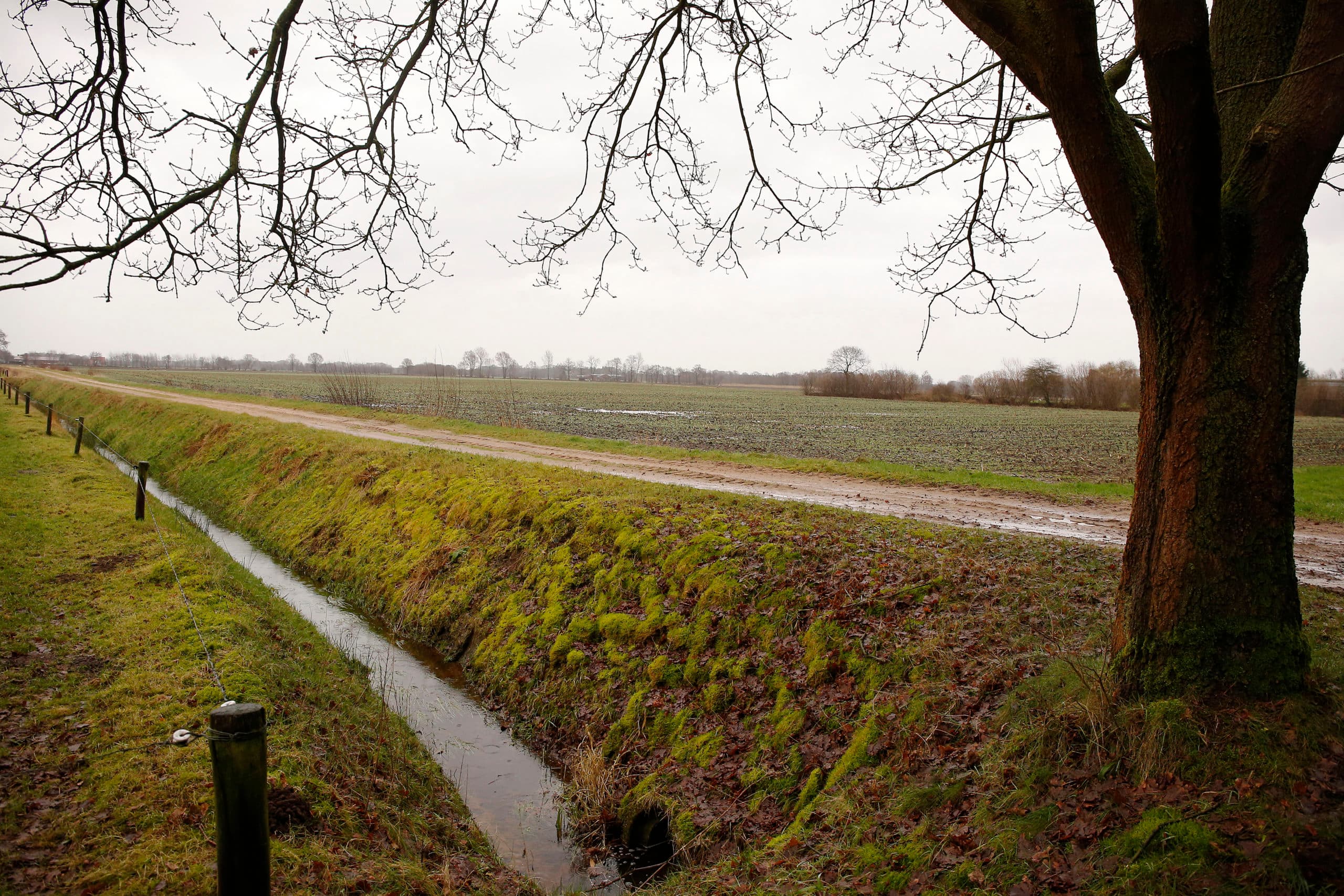 Foto: Hans Prinsen