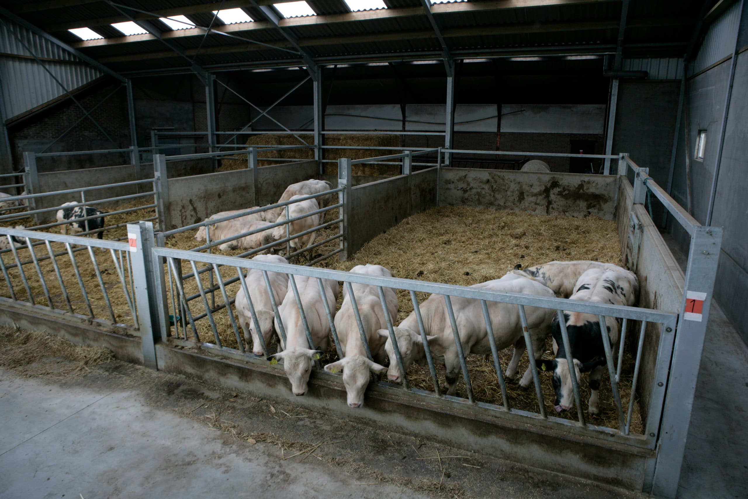 Foto: Jan Willem Schouten
