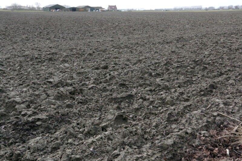 Het Fontane-pootgoed is net binnen en veel meer dan kiemogen is dan ook nog niet te zien. Alle pootgoed is nog niet binnen en het kost Van Iwaarden dit jaar toch wat meer moeite om alle gewenste rassen geleverd te krijgen.