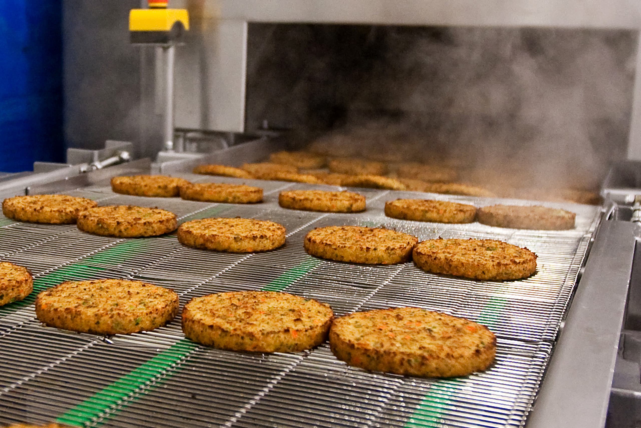Productie van vleesvervangers - Foto: Ronald Hissink