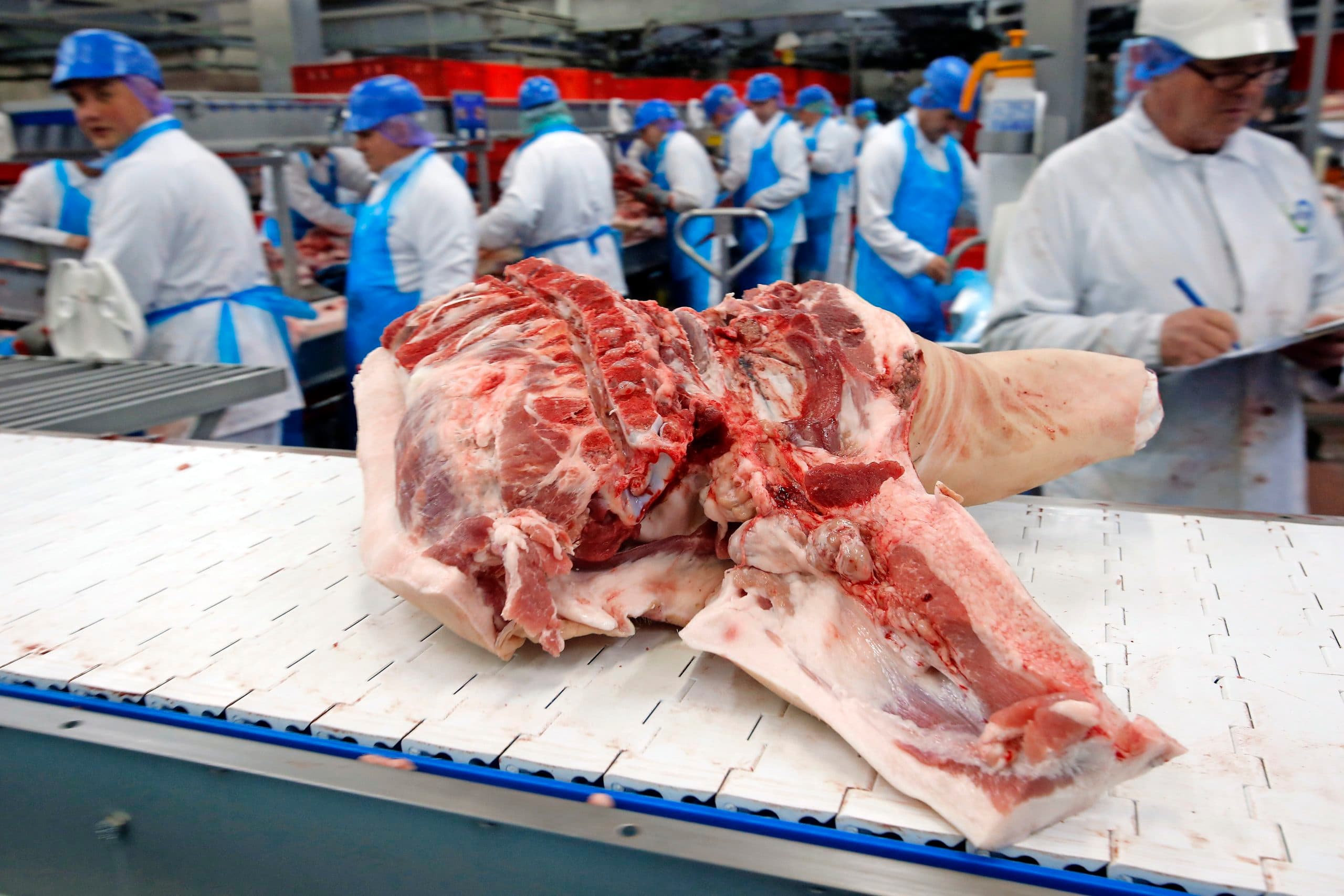 Varkensvlees ligt gereed voor export. De Europese varkenssector is steeds meer afhankelijk van export. - Foto: Bert Jansen