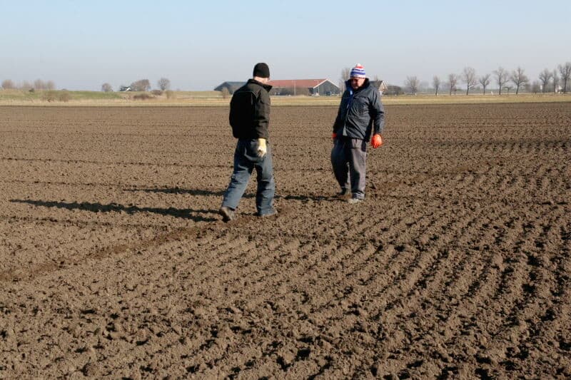 Toen de Wifo-plantmachine arriveerde had het de nacht ervoor net zoveel geregend, dat het klaarliggende plantbed ongeschikt was om te planten. Daarom werd naar het strand in de buurt uitgeweken voor instructie en demonstratie van de machine. Bram Bevelander, op het stoeltje van de planter, krijgt uitleg over de werking van de machine, om aan de gang te kunnen zodra het perceel het planten toelaat.