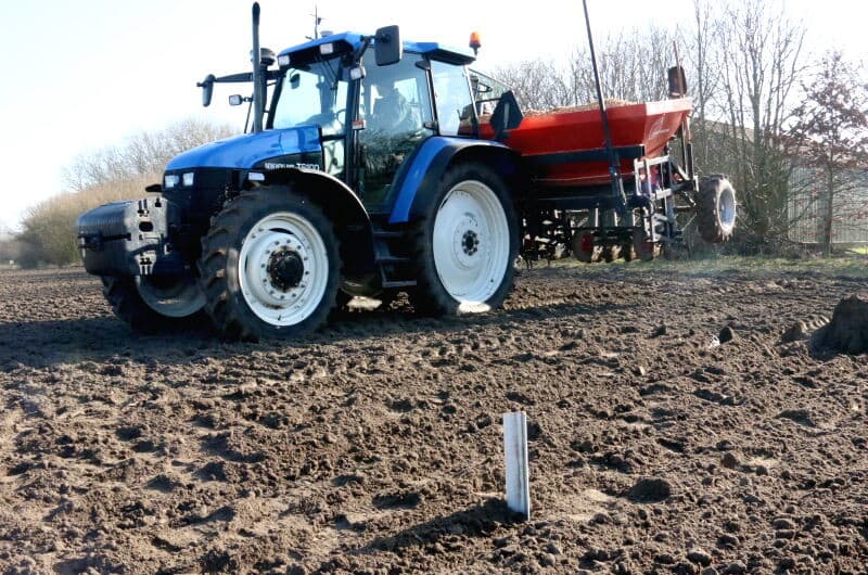 Het egelbandje klemt het plantgoed tegen het transportbandje. Beiden lopen door naar onder, tot net boven het plantspoor. Daar wordt het plantgoed losgelaten. Een pootbuis ontbreekt. Het egelbandje drukt voor een goede verdeling ook het plantgoed wat uit elkaar.