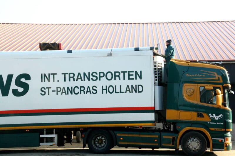 De 'rondrit' in de reinigscilinder is nog niet voldoende. Wanneer de knollen uit de reinigingstrommel komen, worden ze gelezen en zo nodig handmatig geschoond. De wortelpruik moet er bijvoorbeeld helemaal af, zodat in de fabriek dun geschild kan worden en er een mooi nettogewicht overblijft.