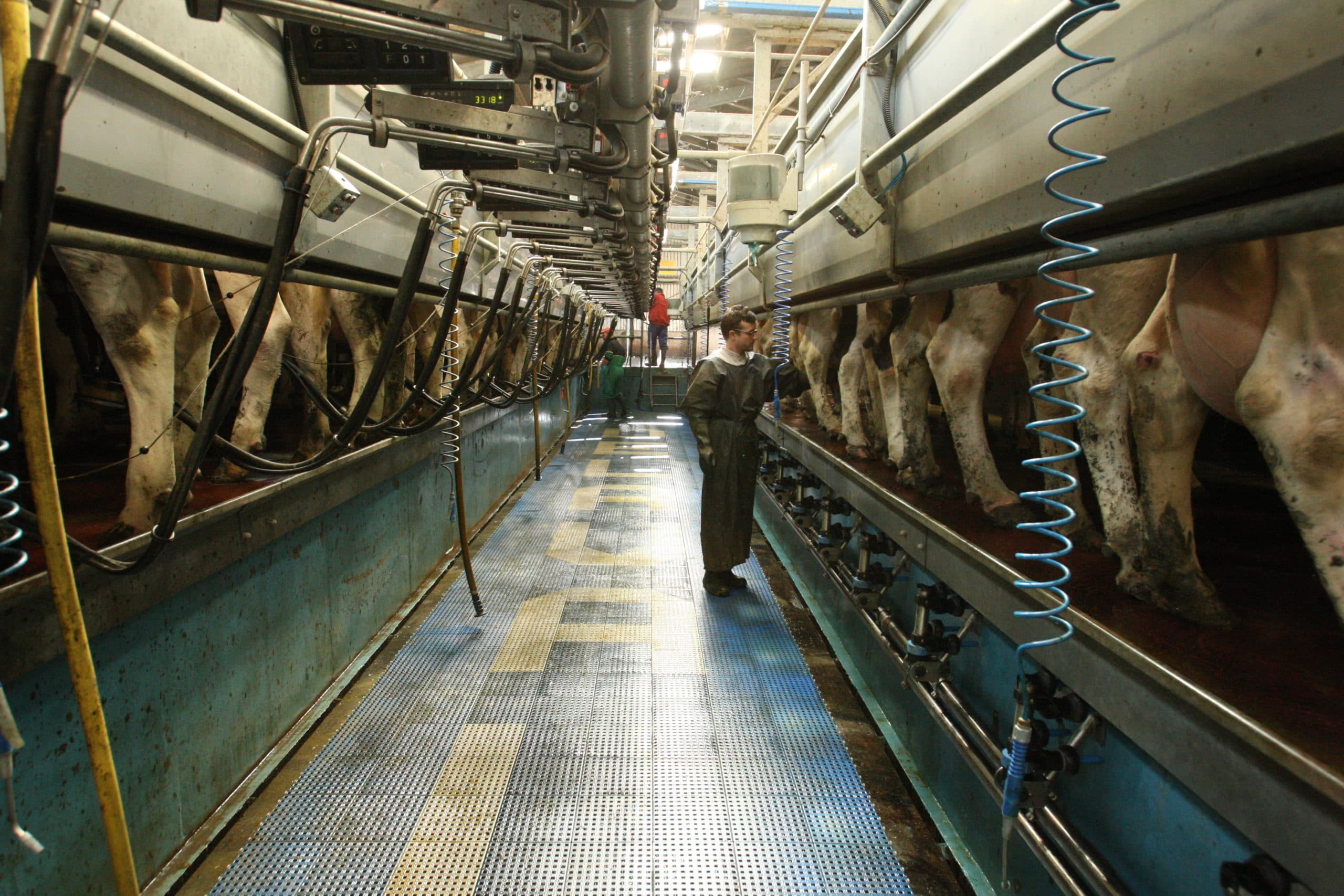 The 48 bay milking parlour on James and Niall Tallon's farm at Fennor,Ardcath,Co.Meath