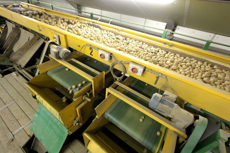 Het bedrijf beschikt over een automatische opzak- en palettiseermachine met de mogelijkheid ook big bags te vullen.