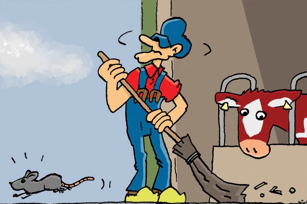 Tekst en illustraties: Herman Roozen