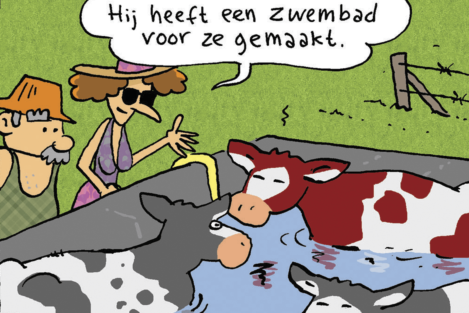 Tekst en tekeningen: Herman Roozen
