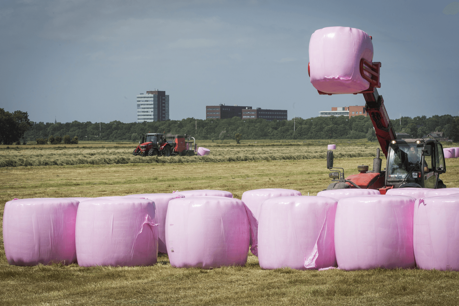 Roze balen tegen borstkanker. - Foto: Koos Groenewold