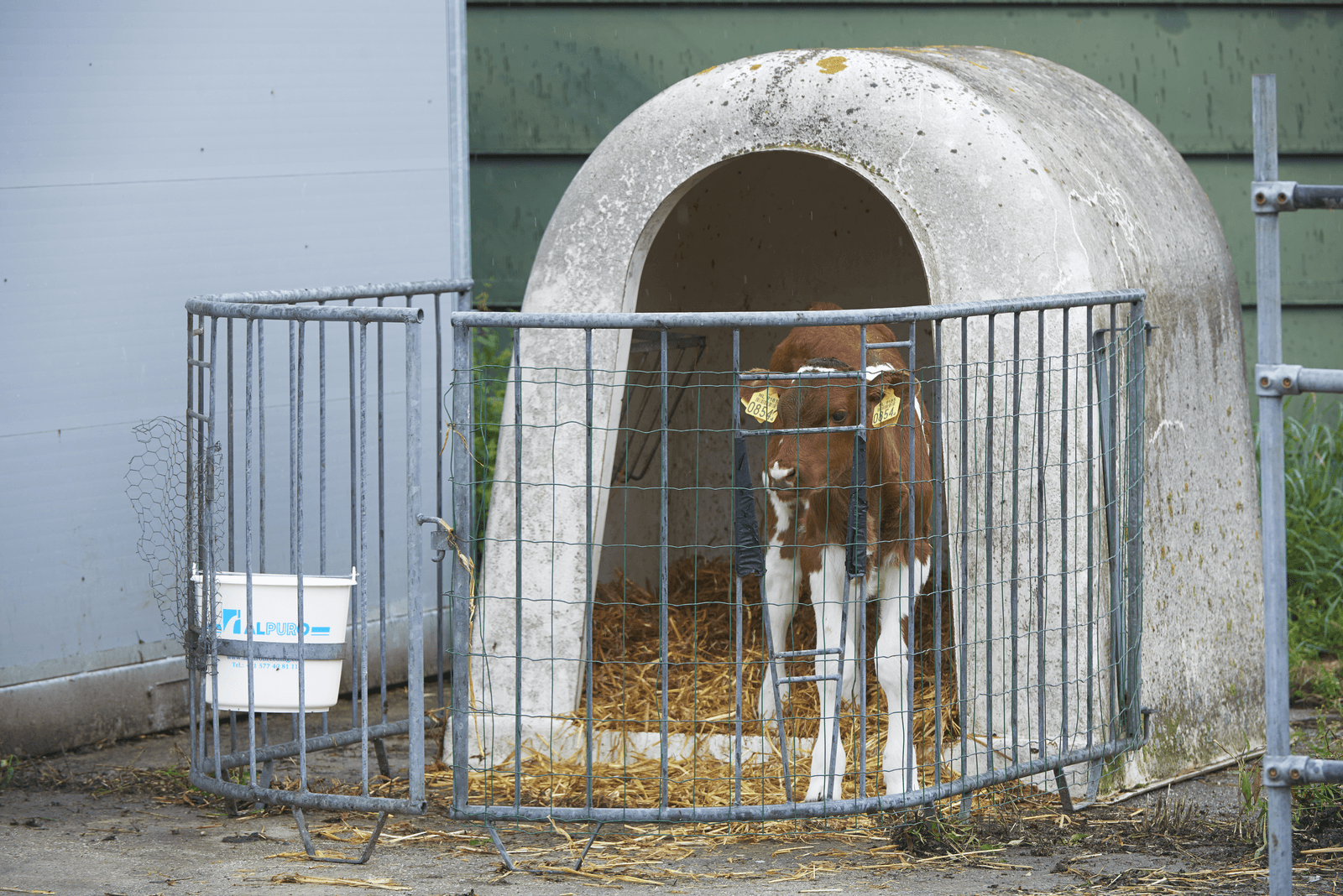 <em>Foto: Van Assendelft Fotografie</em>