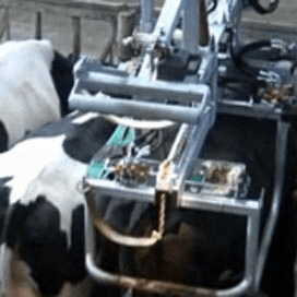 Innovatieve klauwbekapbox