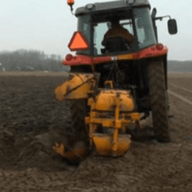 Bollenteelt onder druk
