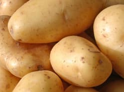 Eerste aardappelnotering Rotterdam