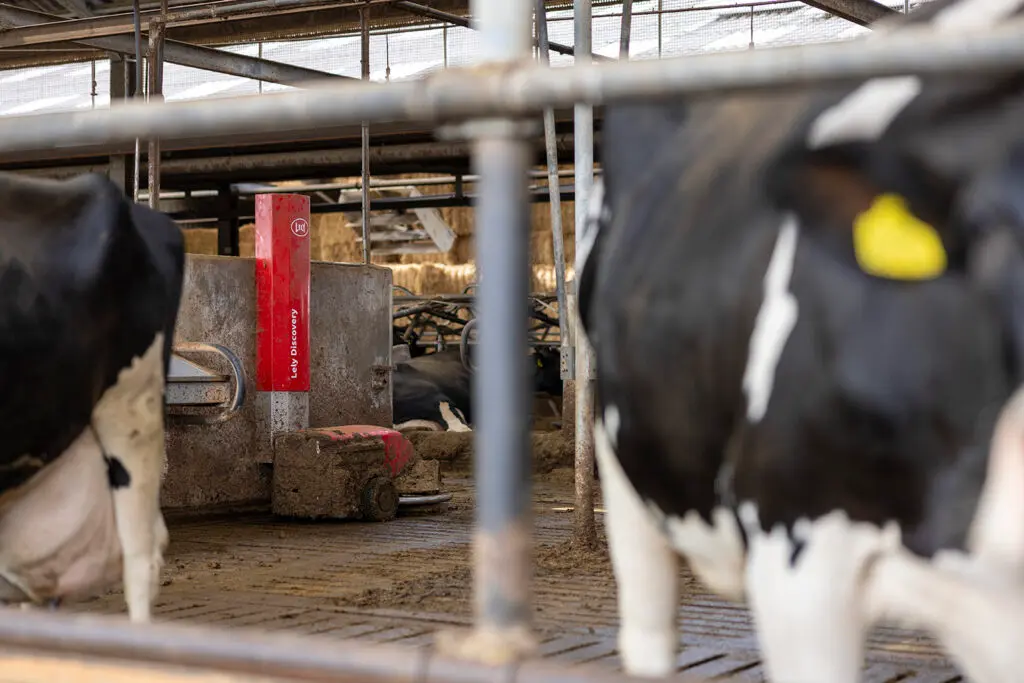 Sinds juni 2024 melken de broers volledig automatisch met vier Lely Astronaut melkrobots.