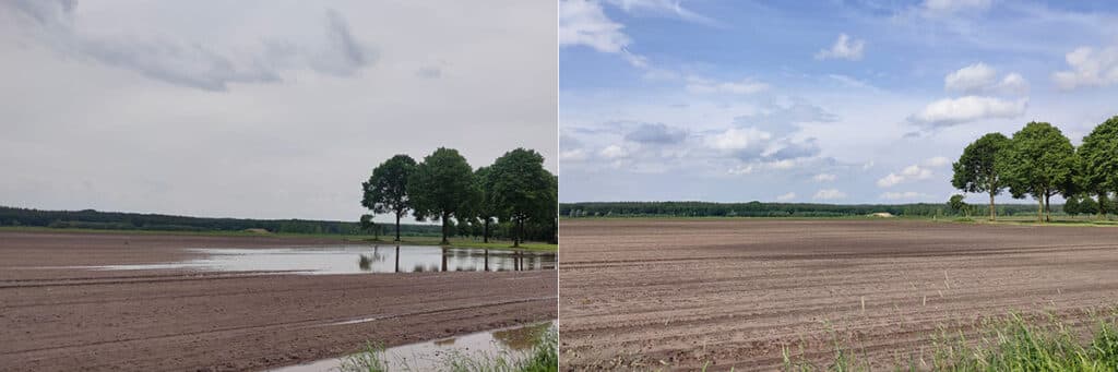Inzet van TerraLife groenbemesters verbetert de waterinfiltratie. Foto links: perceel direct na een hoosbui en foto rechts hetzelfde perceel 24 uur later waar het water goed opgenomen is in de bodem.