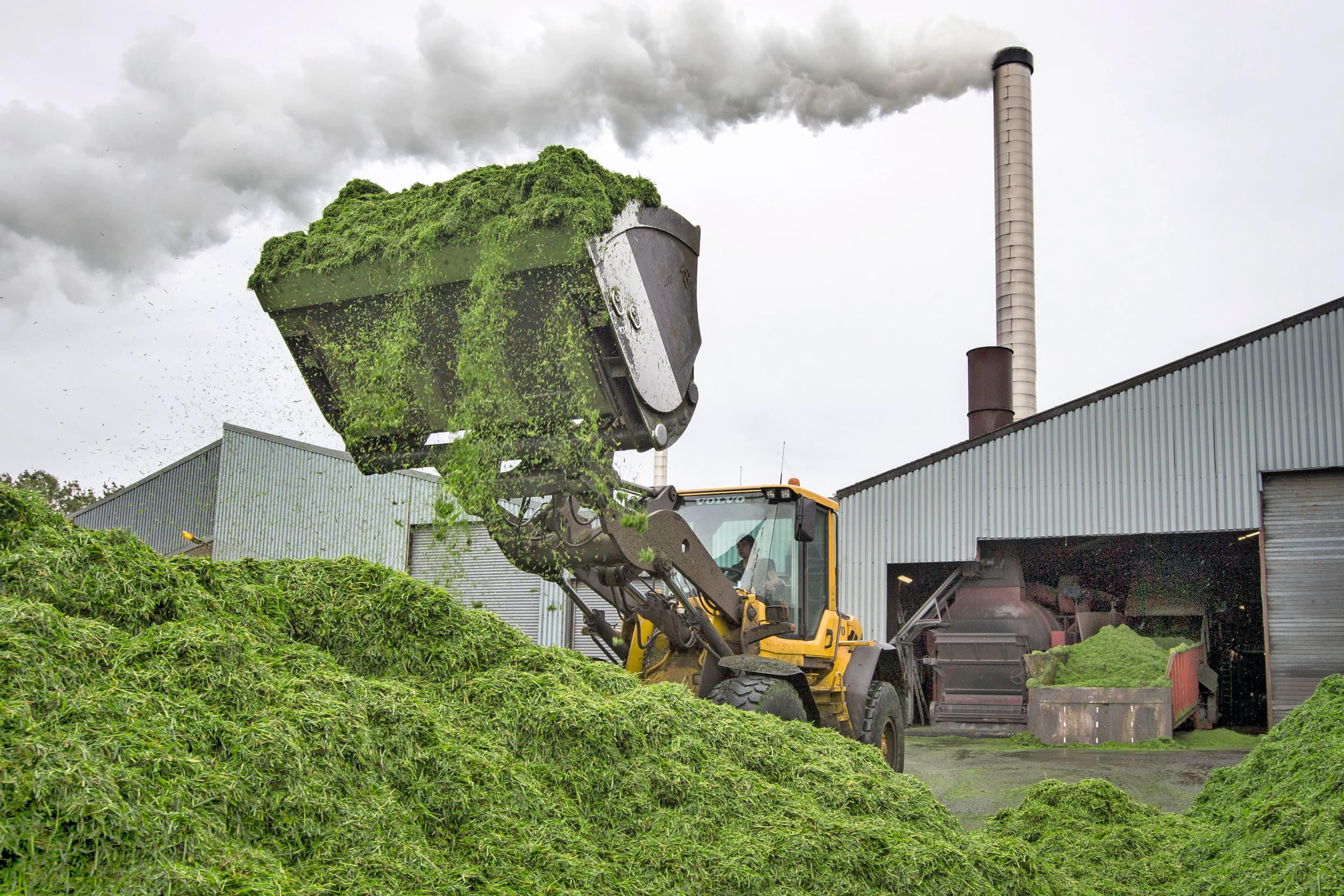 Grasdrogerij Ruinerwold. Groenvoerdrogerijen hebben tot en met juni iets minder productie gedraaid dan in andere jaren. Foto: Anne van der Woude