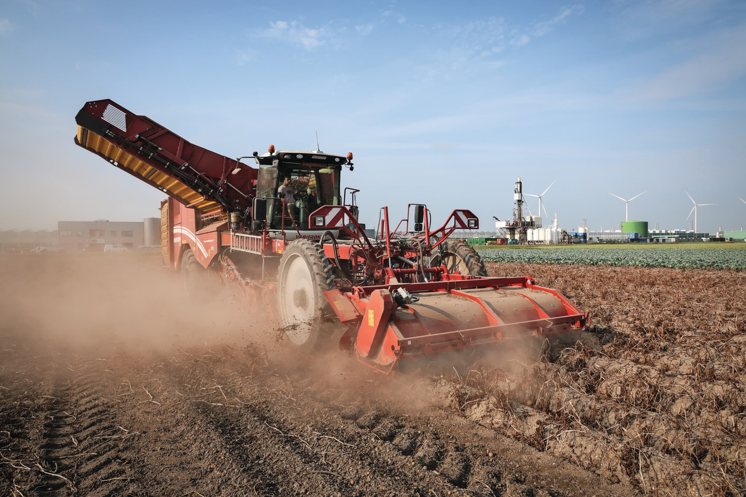 Het areaal aardappelen neemt dit jaar toe. Dat geldt het sterkst voor consumptieaardappelen (+9%) en pootaardappelen (+6%). Er worden ook iets meer zetmeelaardappelen geteeld. Foto: Marcel Rob Fotografie