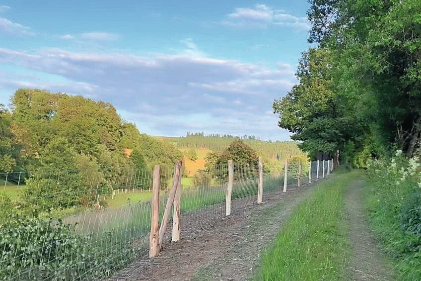 AVP-uitbraak Duitsland groter