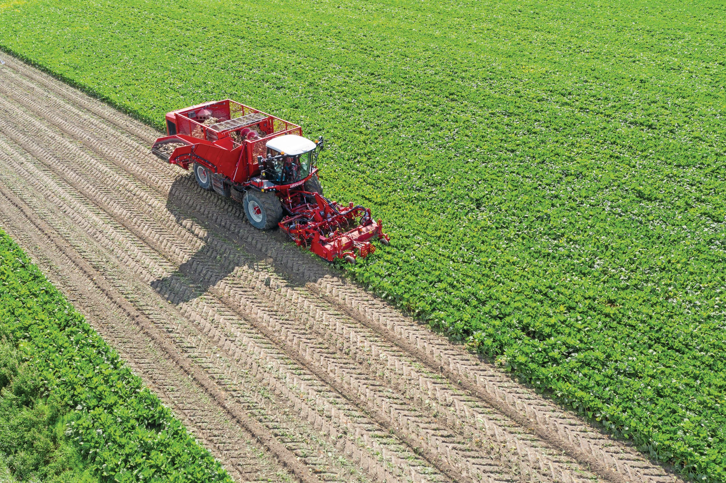 Ondanks wat felle regenbuien verloopt het rooien van de suikerbieten in Noord-Nederland tot nu toe voorspoedig. Foto: Anne van der Woude