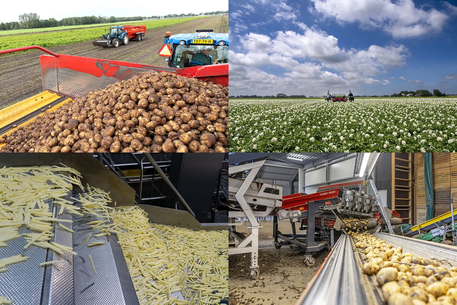 Fontane duurder, andere fritesrassen in de min