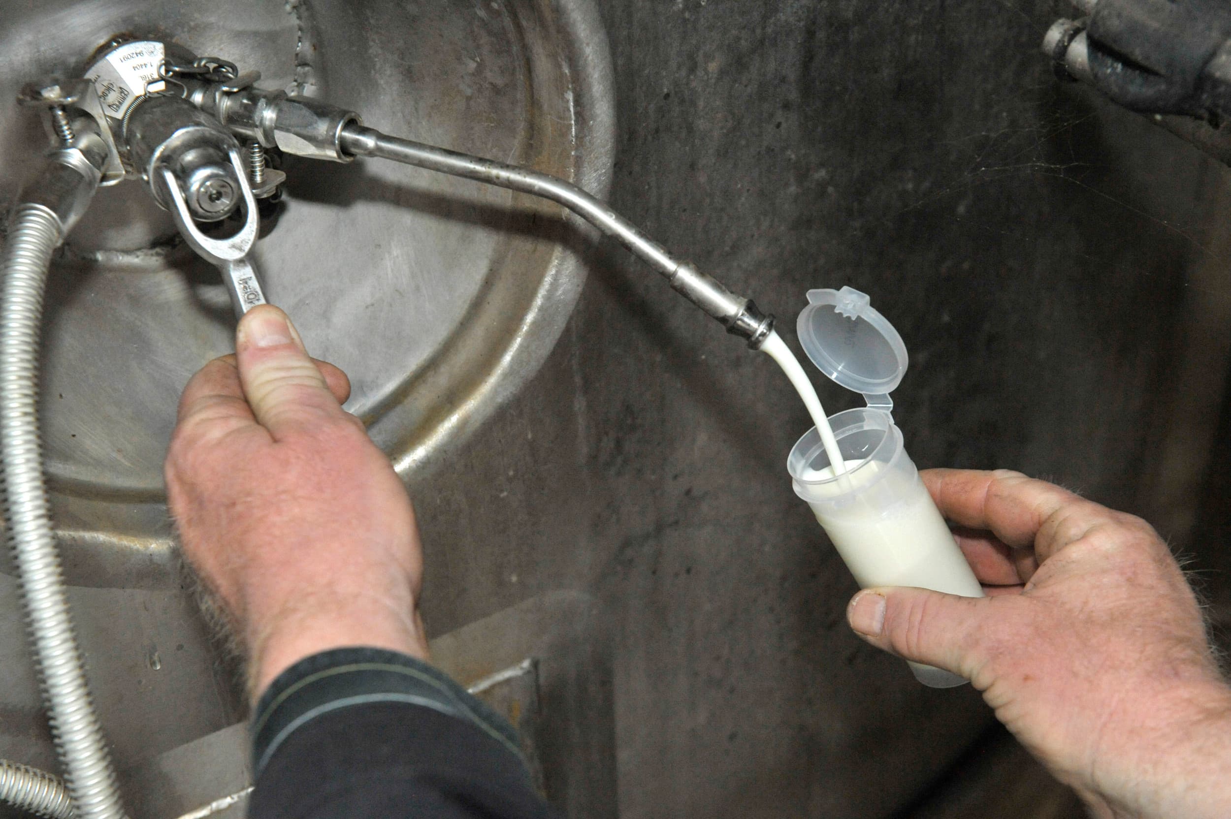 Qlip onderzoekt jaarlijks 13 miljoen melkmonsters, voert 700.000 analyses uit en doet 18.000 audits in de zuivelsector. Foto: Fotopersbureau Dijkstra