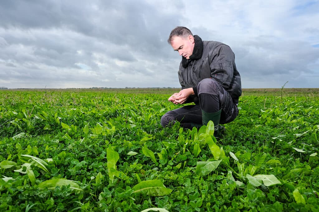 Gert Noordhoff: "Wat mij vooral boeit, is de interactie. Een plant staat niet zomaar in de grond, maar in relatie tot zijn microbioom."