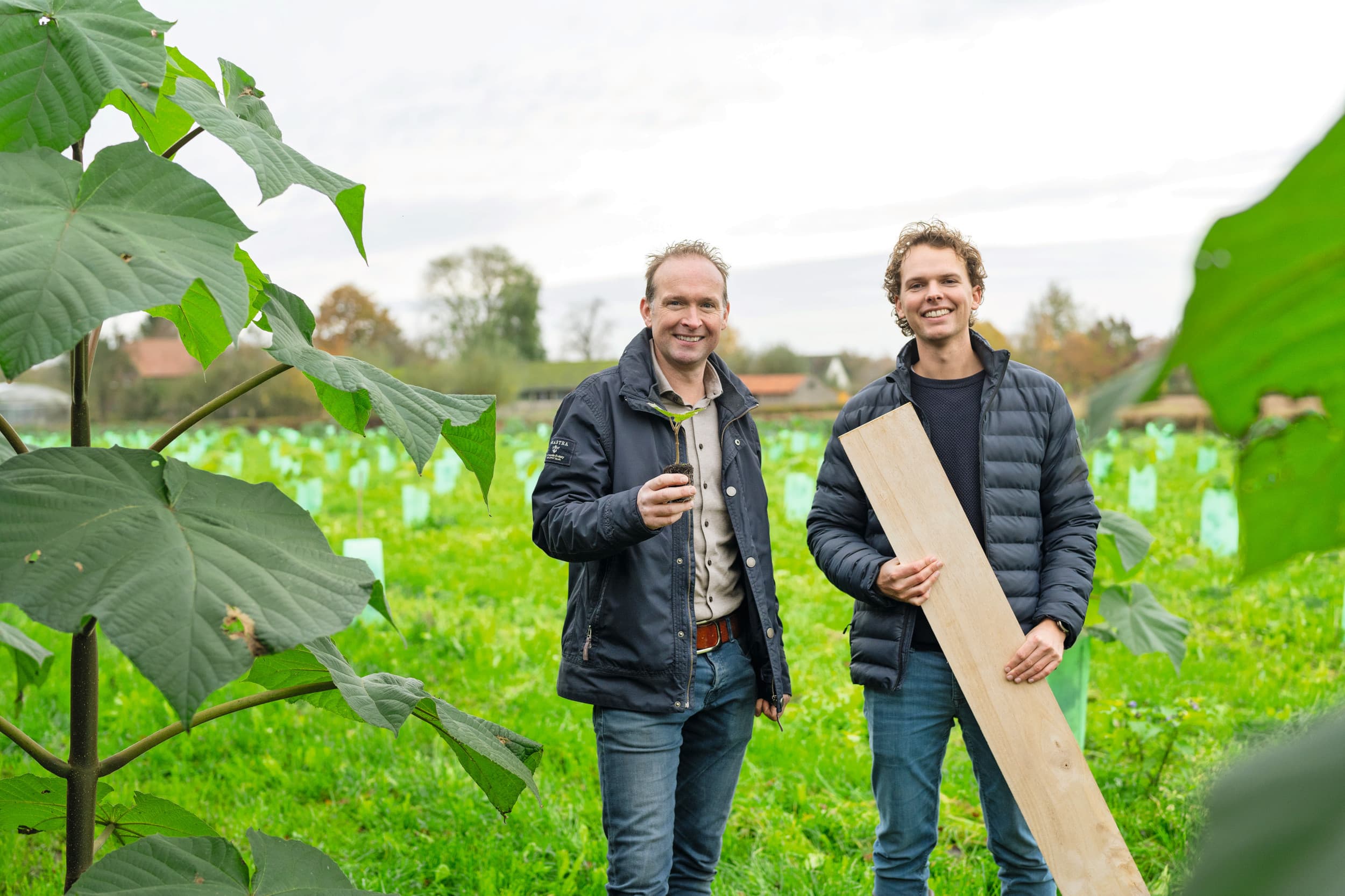 Paul Smolenaers (links) in Nederweert (Limburg), die is gestopt met zijn varkensbedrijf, plantte ongeveer 1.000 paulowniabomen. Hij bekijkt zijn bomen samen met Matthijs van Staalduinen, mede-oprichter en commercieel directeur van Dealin Green. Foto: Rooie Peper