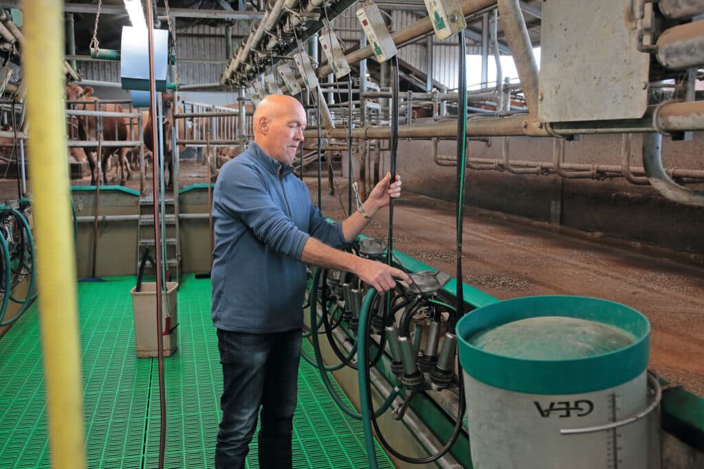 Het bedrijf omvatte vroeger 800 vleesvarkens en 50 melkkoeien. Jan twijfelde of hij ermee verder wilde, maar Annemieke zei: ‘Als je het echt wilt, doe ik gek met je mee en zien we wel waar het schip strandt.’ Nu hebben ze 115 melkkoeien.