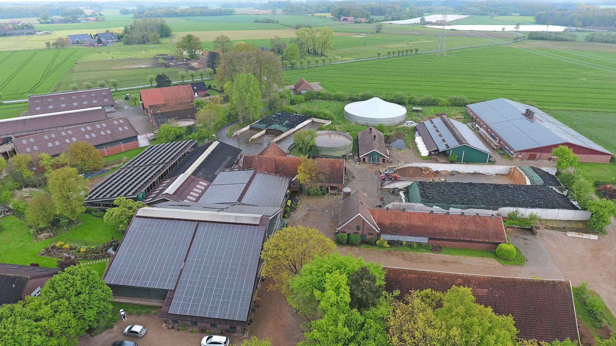 Duits melkveebedrijf in de regio Borken. Dit bedrijf is niet een van de door IBR getroffen bedrijven. Foto: Henk Riswick