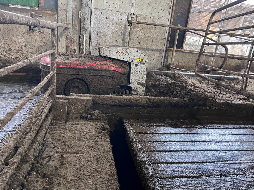 Tijdens de bouw van een nieuw deel in de stal is centraal een afstortput gerealiseerd. Hierin komt vanaf twee zijden dagverse mest met een mestschuif of een mestrobot.