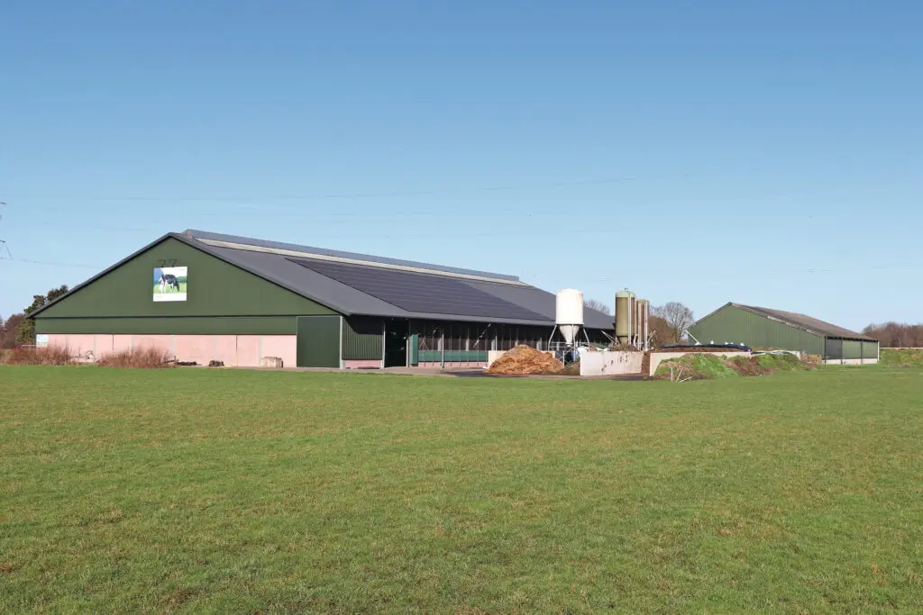 De Groot Veehouderij melkt 135 koeien op één locatie met 2 GEA Monobox-melkrobots. Iedere vier weken maait de melkveehouder 30 hectare gras om in te kuilen, in 2025 waren dat zes snedes. Vorig jaar weide hij nog minimaal 120 dagen per jaar, maar sinds dit jaar stopt De Groot daarmee. De melkveehouder houdt van passend exterieur, een flinke melkproductie en goede gehaltes.