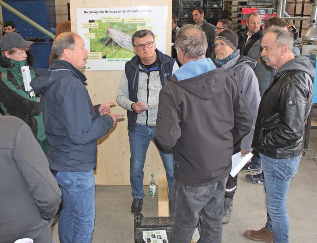 Suikerbietentelers luisteren aandachtig naar de uitleg over de uiterlijke kenmerken van glasvleugelcicaden om ze te kunnen herkennen in het veld. Foto: Janet Beekman