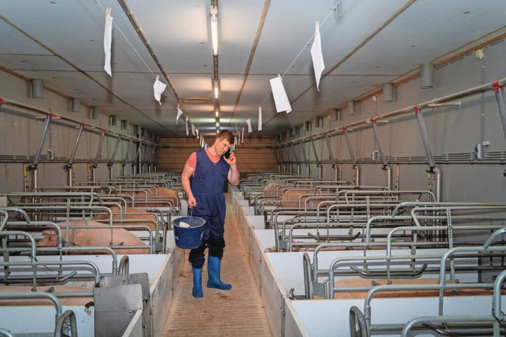“We hebben een aardig varkensbedrijf”, aldus Corné. Ze willen graag verder uitbreiden, maar daarvoor krijgen ze geen vergunning.