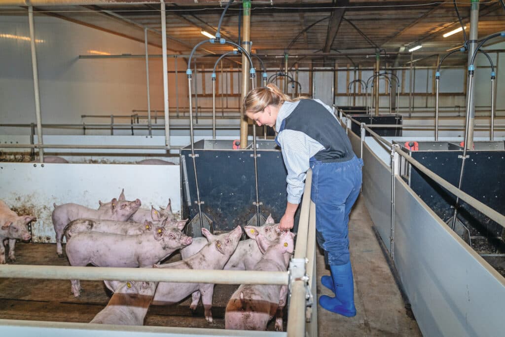 Toen ze op de boerderij kwam wonen, had Lynn nog nooit een varken van dichtbij gezien, maar ze pakte alles aan en leerde snel.