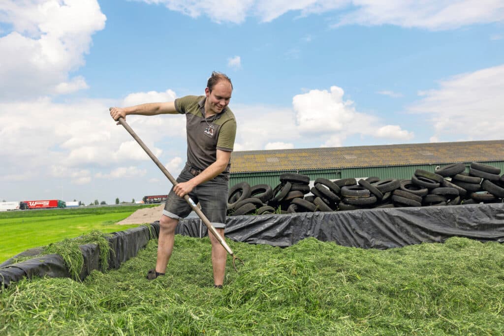 Roy heeft een passie voor voeren. Goed ruwvoer winnen vindt hij een belangrijke basis voor de productie.
