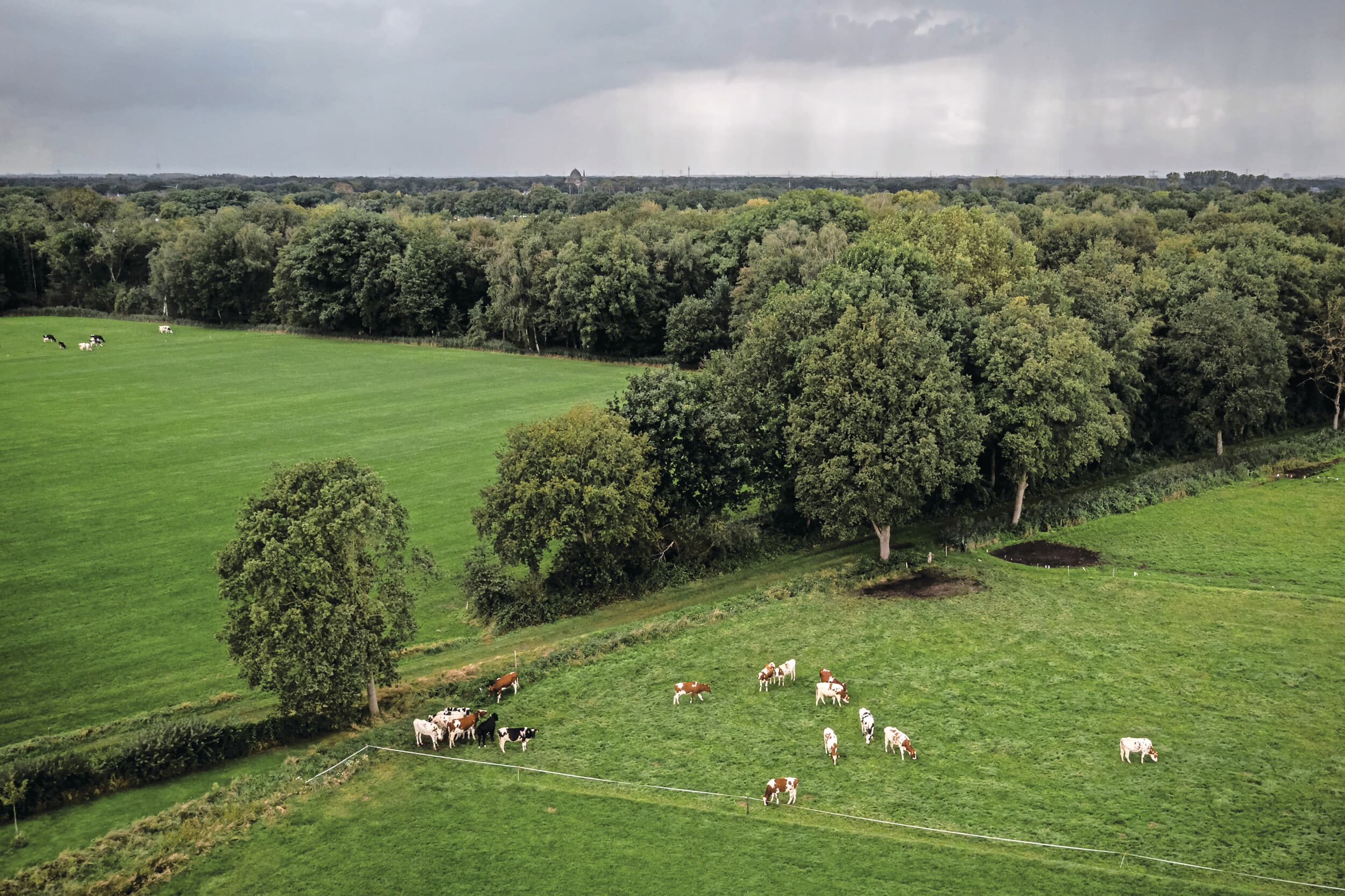 Brabantse stallendeadline