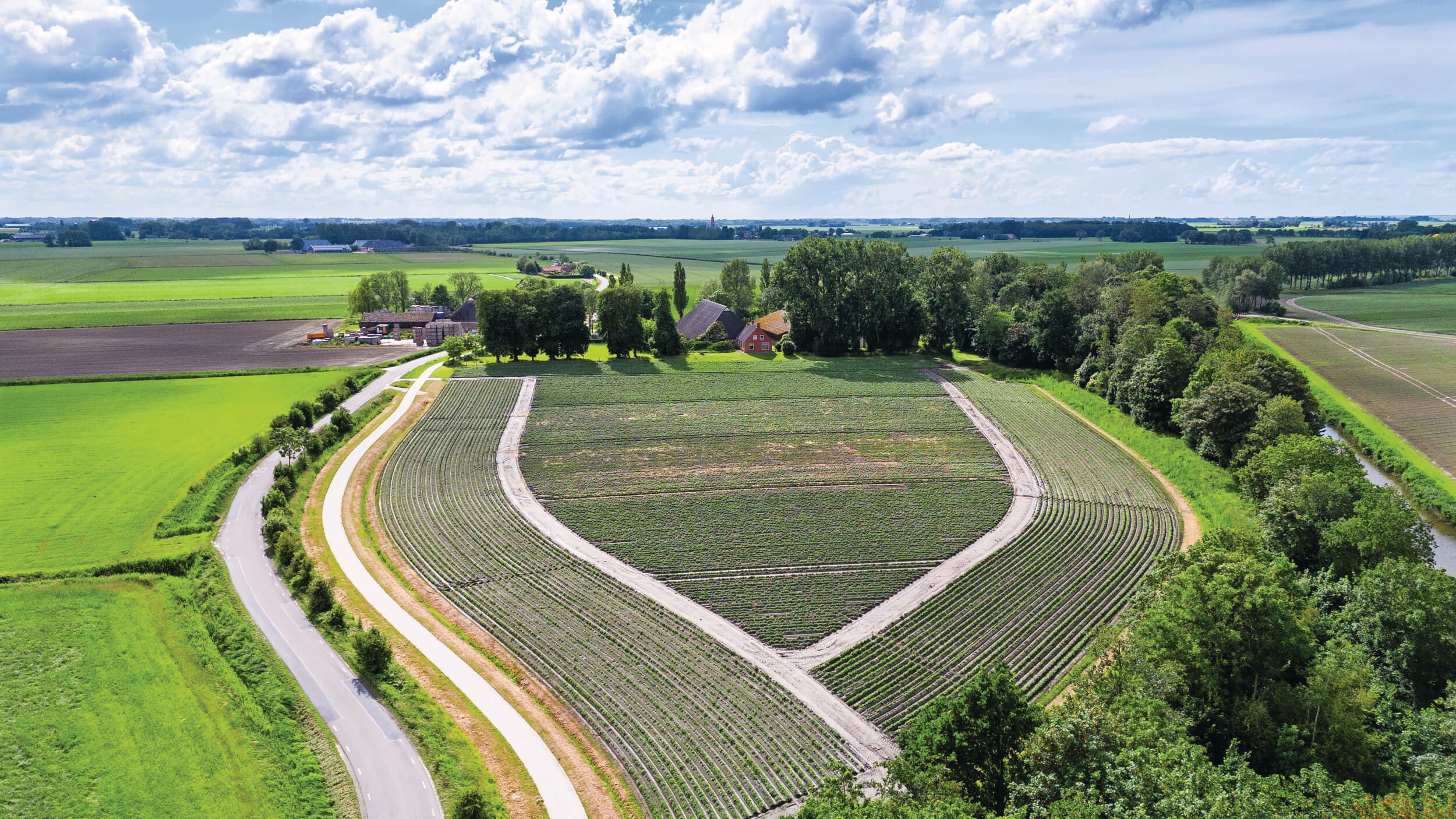 Een perceel pootgoed van 2,5 hectare in Lutke Saaxum (Gr.). Akkerbouwer Frans Gerbens in Baflo teelt hier miniknollen in het middengedeelte en PB2 (miniknollen van vorig jaar) eromheen. Op de miniknollen is stro gestrooid om bladluizen op afstand te houden en virusoverdracht te voorkomen. “De miniknollen groeien wat langzamer dan de PB2, maar ik ben tevreden over hoe het pootgoed er nu op staat. Met regelmatig een buitje regen gaat dat heel best”, zegt Gerbens. Foto: Mark Pasveer